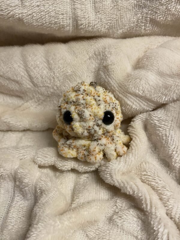 Poulpe – Image 2