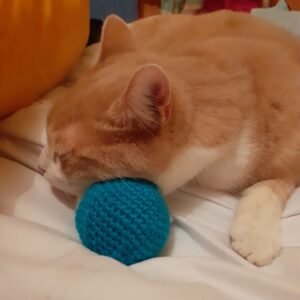 Jouets pour animaux