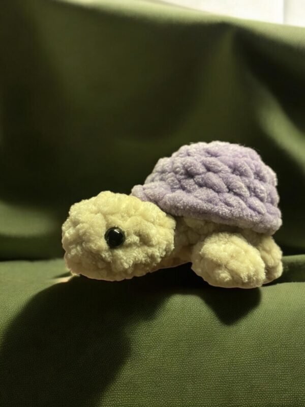 Tortue