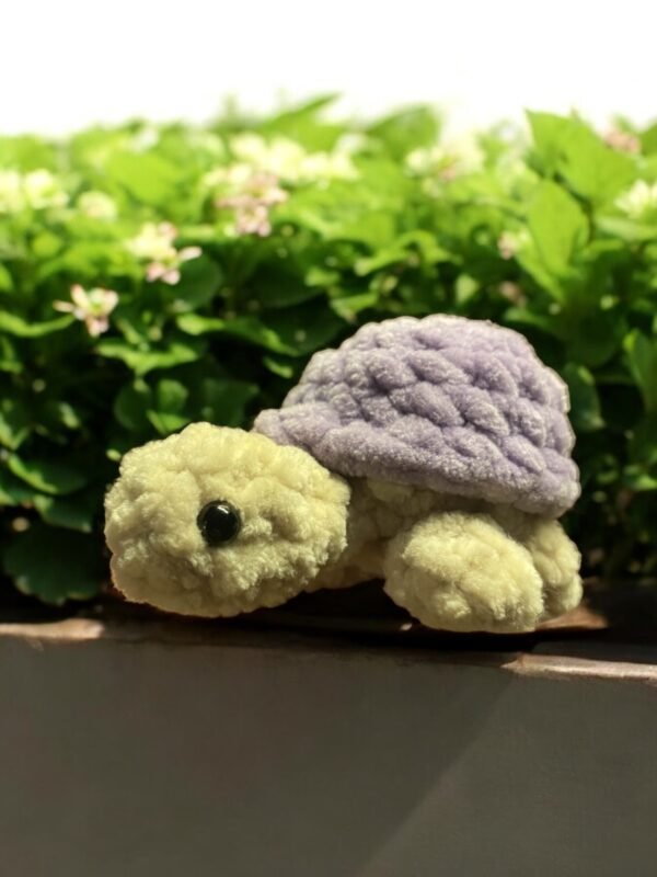 Tortue – Image 2