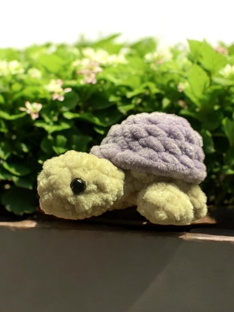 tortue plante